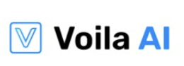 Voila AI